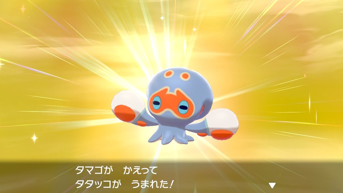 ferrumwfindsc's tweet photo. タコねえ爆誕！国際孵化1137匹目～ https://t.co/4GZbTJmFPP