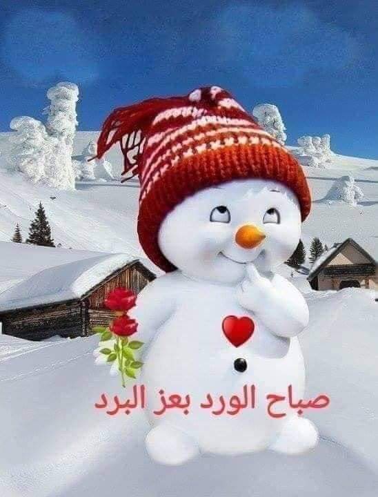 12_fssm's tweet photo. @alhidd https://t.co/s2qcZvH90a