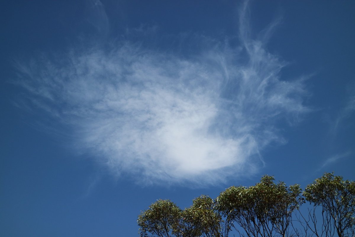 wanderinganimal's tweet photo. Your deliberate #heatincrease and #rainblocking in 
#SouthAustralia'/#Australia can't be hidden from the public, many are waking up..&amp;that includes #Farmers who attended in last year's meeting.

I was correct by saying(20-1-20)
"This is a deliberate heat by #EMF's" microwaves👇 https://t.co/XGbEhpQeIS