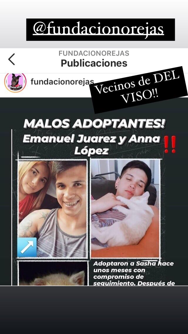 felisycan's tweet photo. Atentos vecinos de #DelViso, que hacen con los animales que piden en #adopcion ?!? #pilar #zonaNorte #MaltratoAnimal 
@FundacionOrejas https://t.co/d7gVjRC1Z8