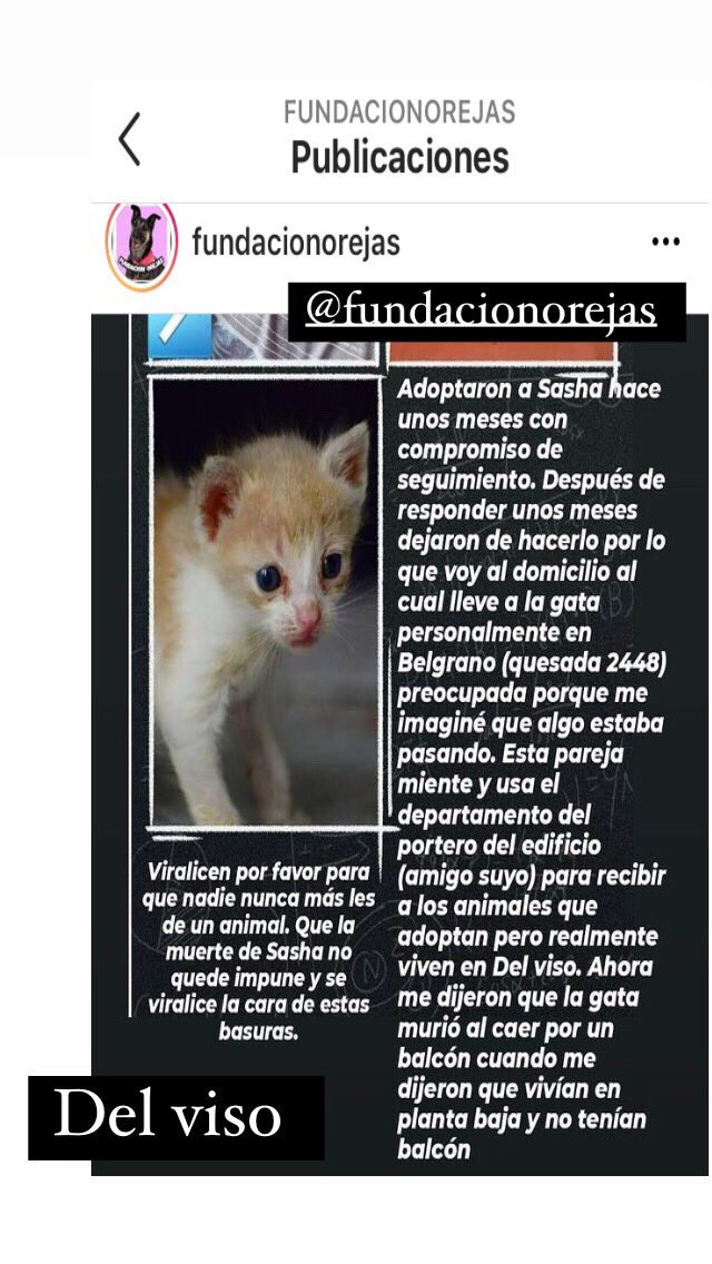 felisycan's tweet photo. Atentos vecinos de #DelViso, que hacen con los animales que piden en #adopcion ?!? #pilar #zonaNorte #MaltratoAnimal 
@FundacionOrejas https://t.co/d7gVjRC1Z8