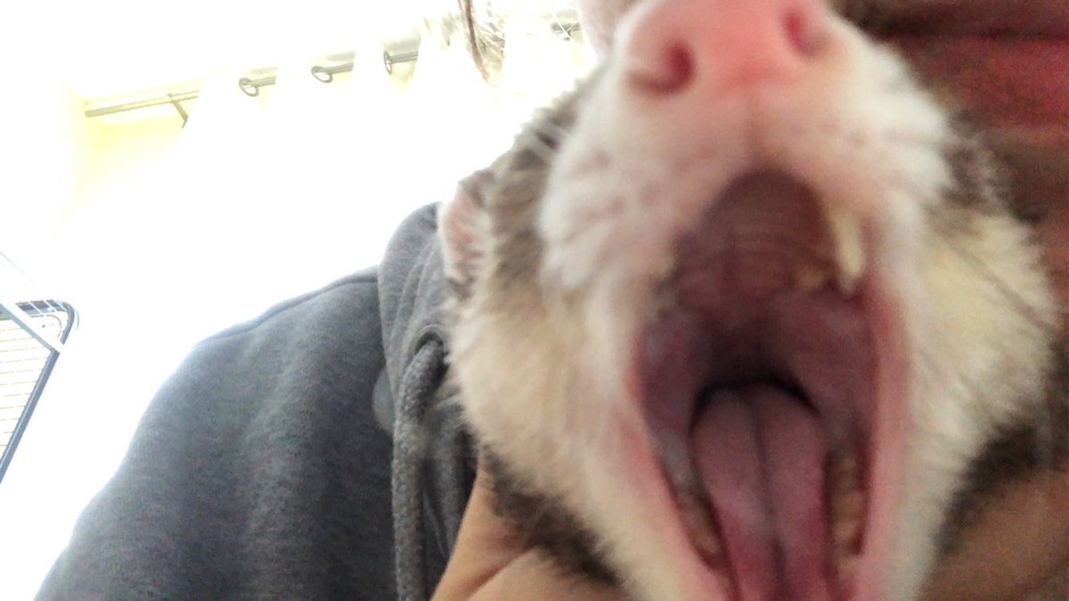 linedpaper04's tweet image. :D