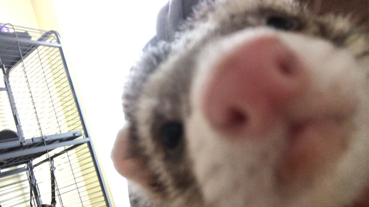 linedpaper04's tweet image. :D