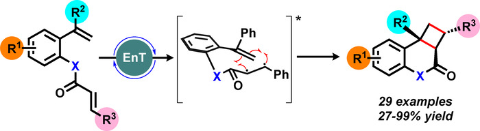 Photocatalyzed Intramolecular [2+2] Cycloaddition of N-Alkyl-N-(2-(1-arylvinyl)aryl)cinnamamides (Paixao) <a href="/de_zezao/">José Tiago Menezes Correia</a>, <a href="/mwpaixao/">MWPaixão Group</a>, <a href="/MatsuoBianca/">Bianca Matsuo</a>, <a href="/ChemistryKoenig/">KoenigChemistry</a> onlinelibrary.wiley.com/doi/10.1002/ch…