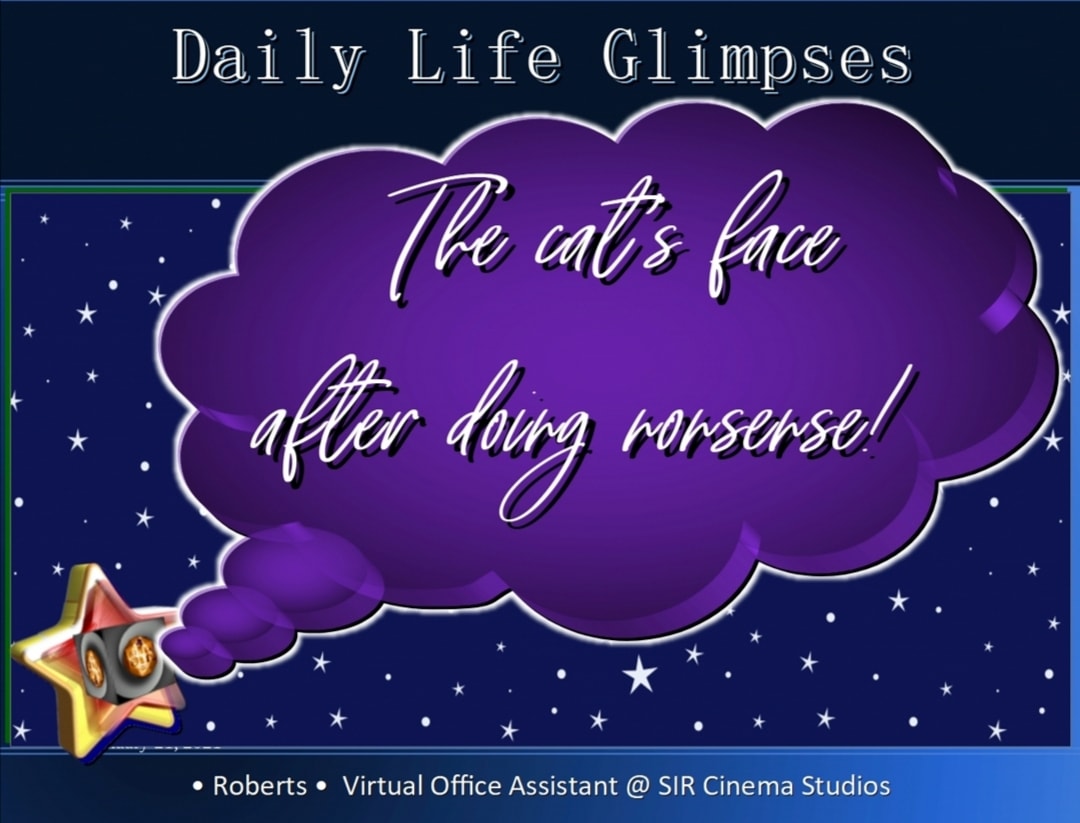 LucDeFort's tweet photo. . ⭐️ Daily Life Glimpses ⭐️
" The cat's face after doing nonsense! "
Image and text by:
Roberts Silviu @roberts_silviu
Virtual Office Assistant @ SIR Cinema Studios
#LucDeFort #DailyLifeGlimpses #Crew #SIRCS https://t.co/vbLxYFxxgA