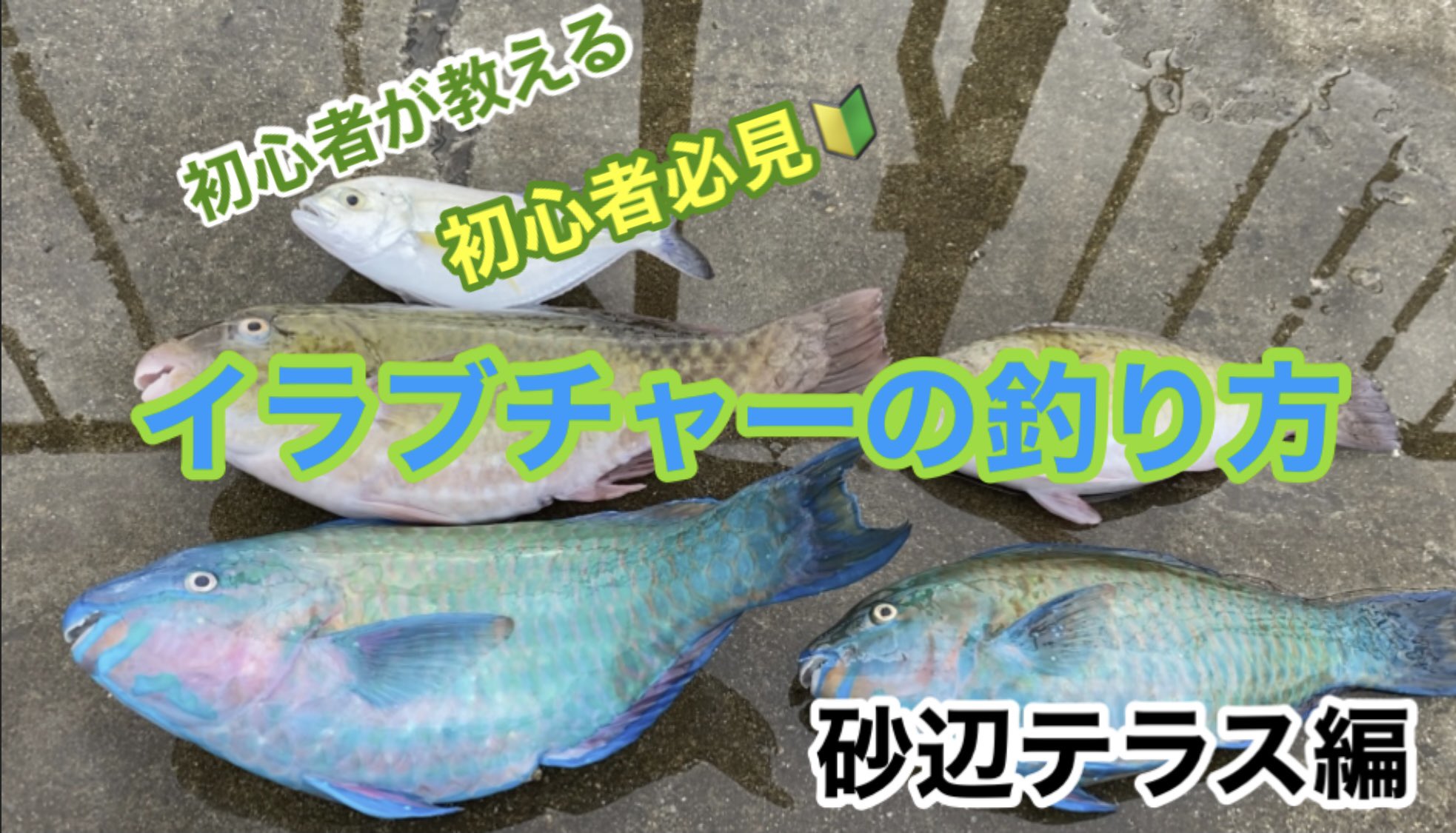 イラブチャー Twitter Search Twitter
