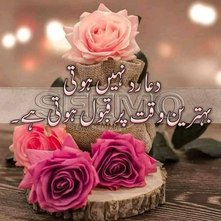 Urdu Poetry (@BestPoetryurdu) / Twitter Urdu Poetry (@BestPoetryurdu) / Twitter