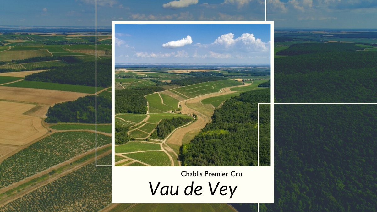 Vau de Vey est un Climat porte-drapeau de la rive gauche. Exposé Sud/Est, il profite du soleil matinal. 

Comment décririez-vous les vins qui en sont issus?

📍 Plus d'info bit.ly/vaudevey_vauxr… 📍 
📷 BIVB / Aurélien IBANEZ #Chablis #VinsBourgogne