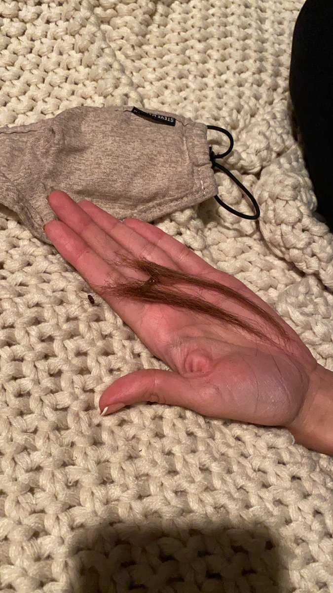 looobug's tweet photo. just had to have my hair cut after getting my hair singed off while outdoor dining. Where do I send my expense receipts @NYGovCuomo @NYCMayor and @JoeBiden welcome to office please help https://t.co/xUW7rehZFD