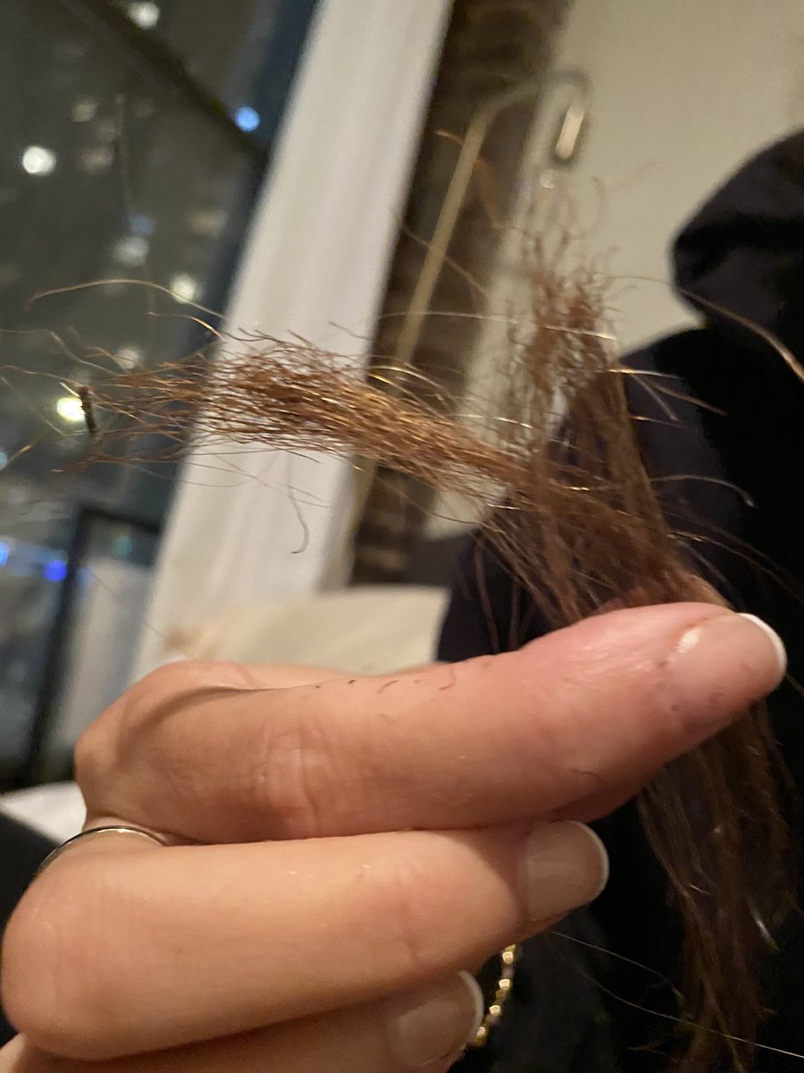 looobug's tweet photo. just had to have my hair cut after getting my hair singed off while outdoor dining. Where do I send my expense receipts @NYGovCuomo @NYCMayor and @JoeBiden welcome to office please help https://t.co/xUW7rehZFD