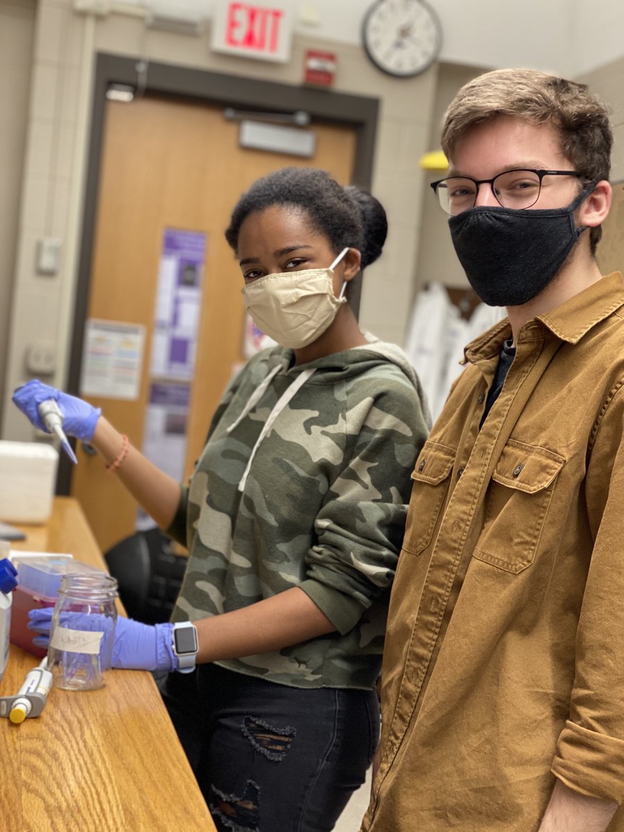 MNSU_RISEbio's tweet photo. It's the start of the Spring semester at @MNSUMankato which means it's also the start of new @MNSU_RISEbio stream research. So fun! #firstyearresearchexperience #undergradresearch #NSFfunded #MNSU #DNA #cancerandimmunity https://t.co/waJ11cJy23