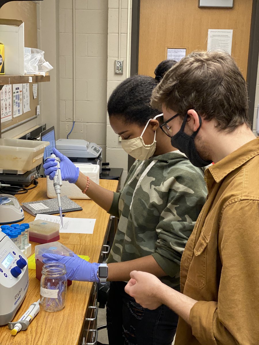 MNSU_RISEbio's tweet photo. It's the start of the Spring semester at @MNSUMankato which means it's also the start of new @MNSU_RISEbio stream research. So fun! #firstyearresearchexperience #undergradresearch #NSFfunded #MNSU #DNA #cancerandimmunity https://t.co/waJ11cJy23