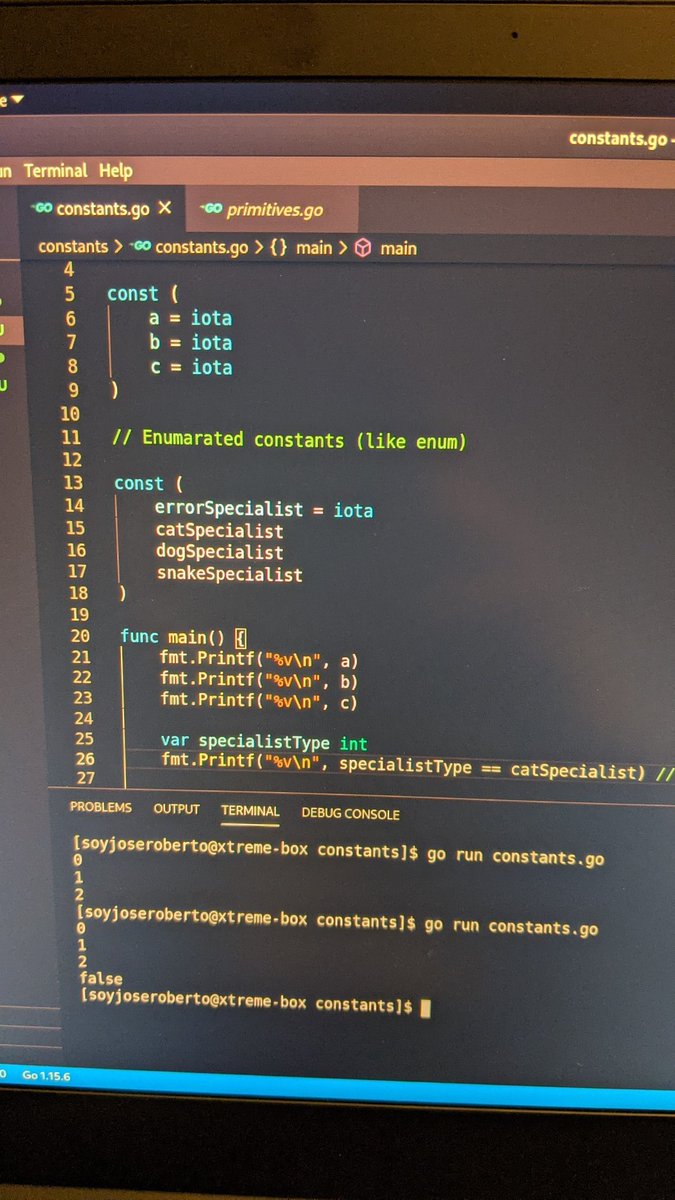 Day 16 of #100DaysOfCode in #golang. Not sure about the black magic that is going on with enumerated constants and iota but it looks pretty cool! #babygopher #webdev #goprogramming @freeCodeCamp @GolangGo @GoTimeFM