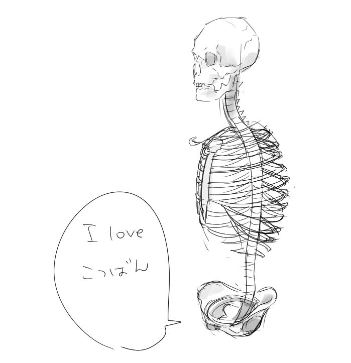 この前に5方向描いてるけど全然理解できない骨盤 
