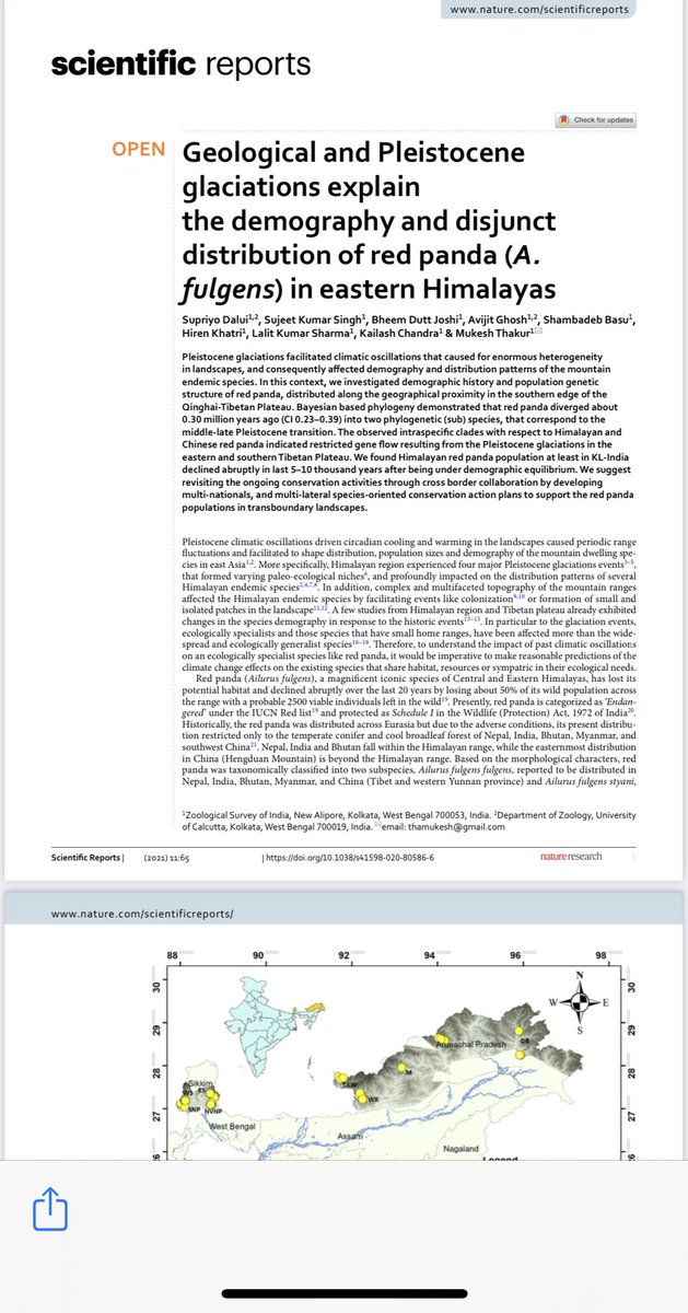 Scientists from Zoological Survey of India,a body under  @moefcc, published their research in two top science journals1.Nature(Scientific Reports) &German Society of MammalianBiology last week2. Research said red panda actually diverged into two species about 0.3 million yrs ago