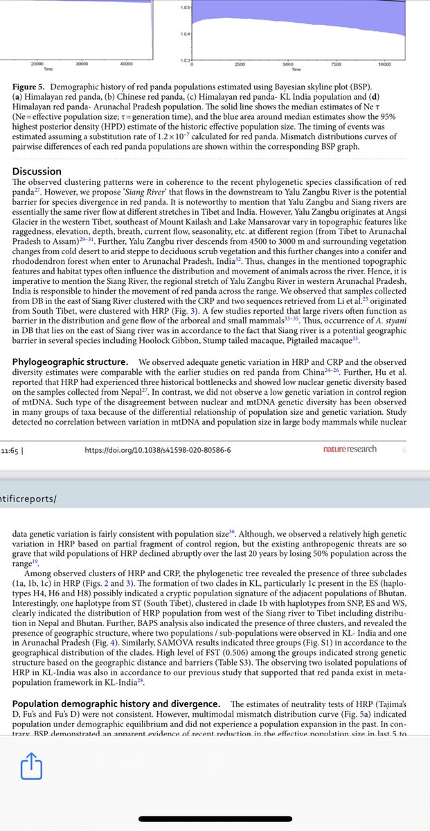 Scientists from Zoological Survey of India,a body under  @moefcc, published their research in two top science journals1.Nature(Scientific Reports) &German Society of MammalianBiology last week2. Research said red panda actually diverged into two species about 0.3 million yrs ago