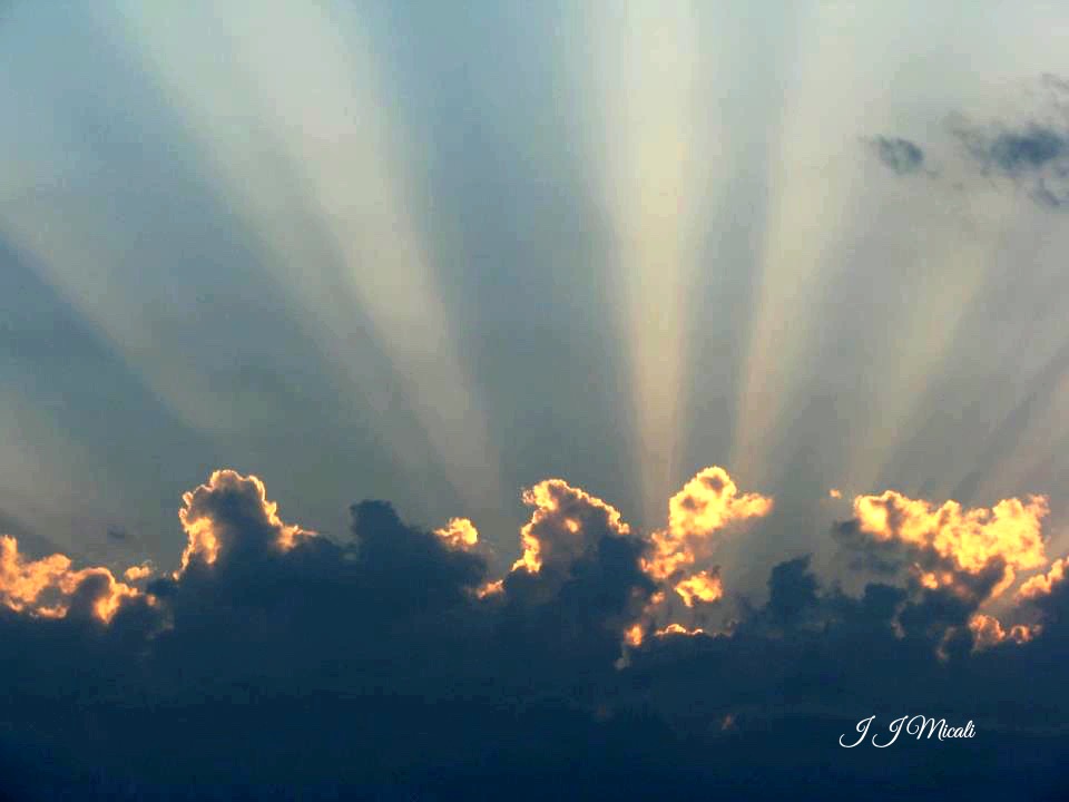 JamesMicali's tweet photo. Today I know there is Hope. https://t.co/eh1nHTLR3J