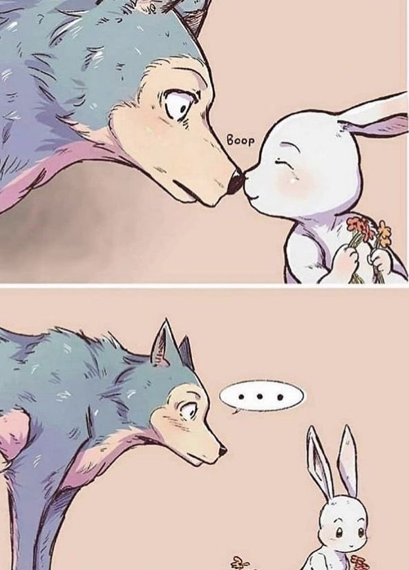 ที่เคยเห็นแฟนอาร์ตหมาป่ากับกระต่ายอันนี้ก็มาจาก beastars ทำไมชั้นเพิ่งได้ดูมันสนุกมากกกก น้องหมาป่าขี้อายที่แอบรักน้องกระต่าย ss1 หาดูได้ในเน็ตฟลิกซ์ ss2กำลังจะมา