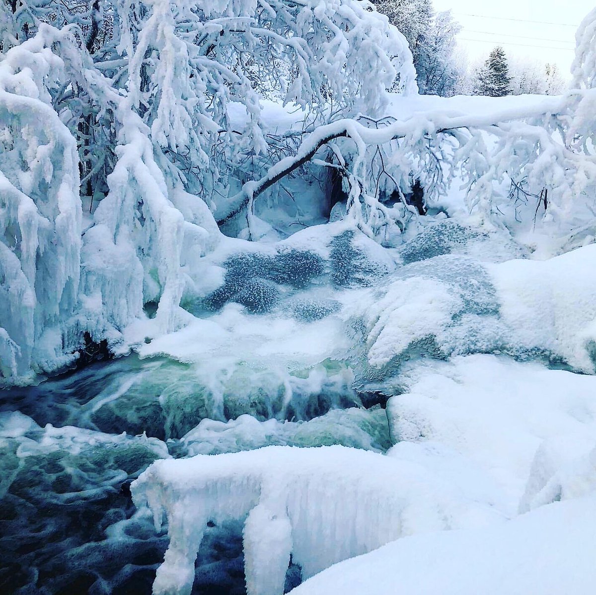 Krasoti_Rossii's tweet photo. Озеро. Архангельская обл. 
#КрасотыРоссии #Красоты_России #Россия https://t.co/8uobPLNSeb