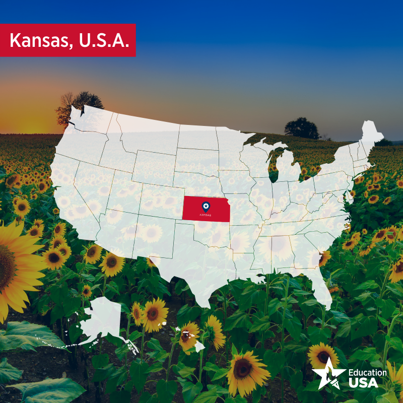 EducationUSAZimbabwe tweet media