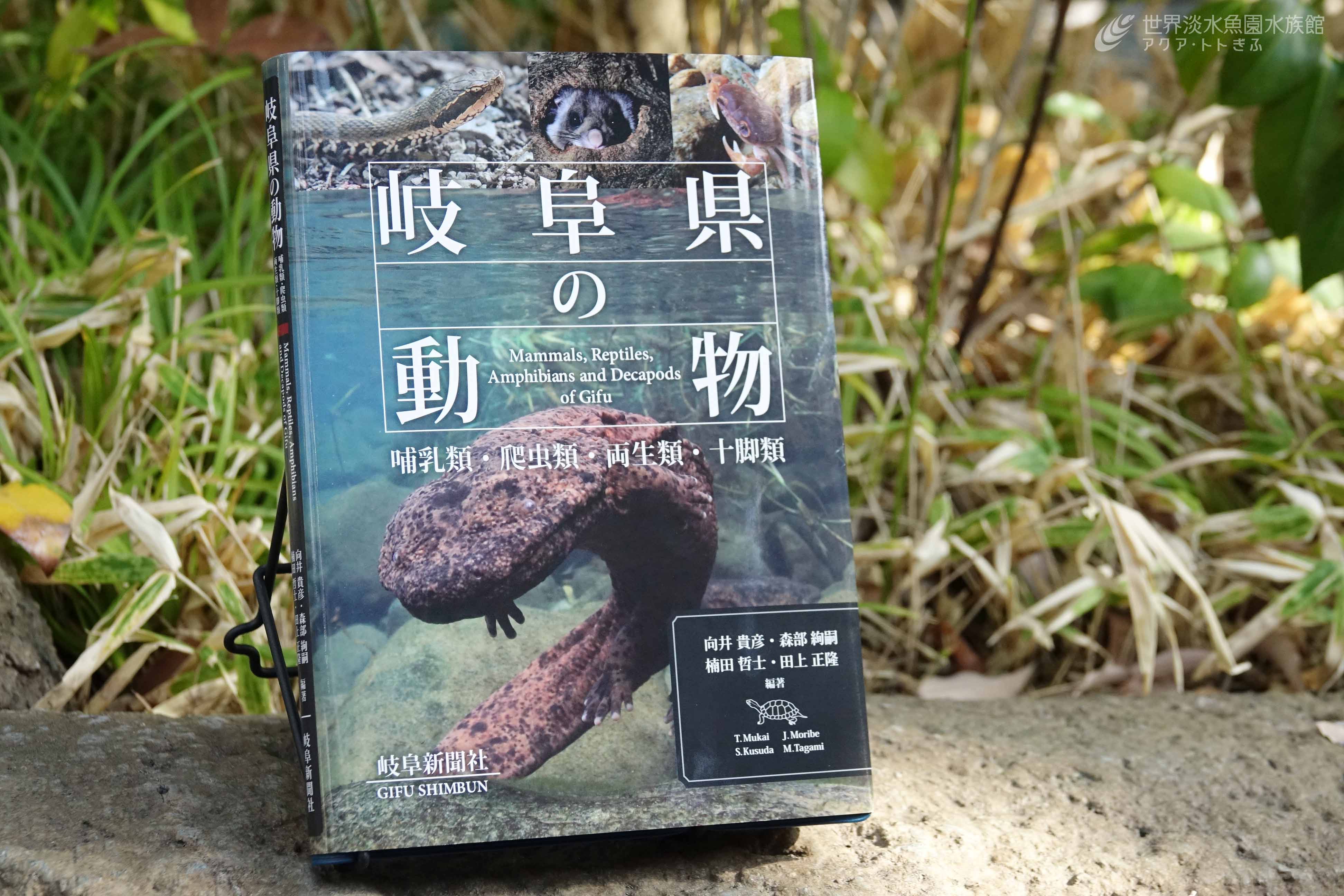 世界淡水魚園水族館 アクア トト ぎふ 岐阜県の動物 が出版 当館ショップでも販売中です 県内の野外で確認された確実な記録のある哺乳類 爬虫類 両生類 十脚類の合計123種を掲載 それぞれの専門家による解説や多数の写真が掲載されており 岐阜