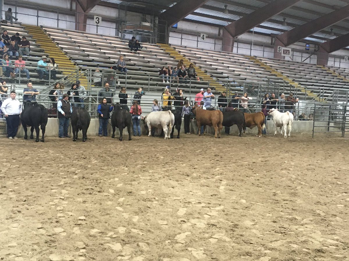 Steers are in! Congrats to Grand  &amp; Reserve- Amy Pearson of <a href="/HumbleISD_AHS/">The Atascocita HS</a> and McKynzie Wallace of <a href="/HumbleISD_KPHS/">Kingwood Park HS</a>