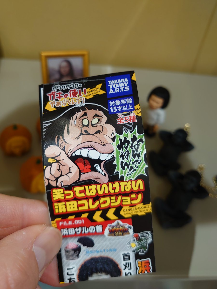 ダウンタウンのガキの使いあらへんで ダウンタウンのガキの使いあらへんで