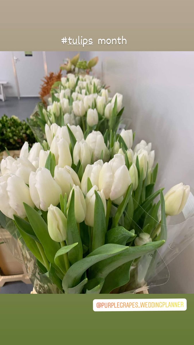 purplegrapesevents.com
#purplegrapes_weddingplanner
#PurpleGrapesEvents
#decorsutra
#weddingPlannerinJaipur #TopWeddingPlannerinJaipur #BestWeddingPlannerinJaipur #weddings #weddingplanner #indianwedding #bigFatIndianWedding #RoyalIndianWedding #weddingPlannersinJaipur