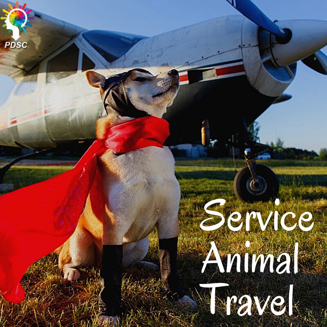 ESAcenter's tweet photo. If you have an Emotional Support Animal and you want to travel with them. Then you need to take an ESA Letter and should take advice from our PDSC experts.
Visit here: https://t.co/tHMRPzDHVv
.
#ESAOnlineLetter
#ServiceAnimalTravel
#ServiceDogLetter
#EmotionalSupportAnimalLetter https://t.co/dpuLxtCdXr