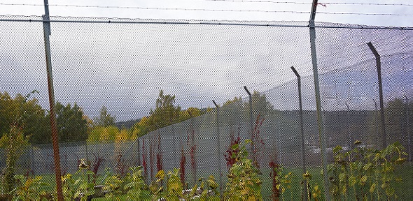 Comparative Penology tweet media