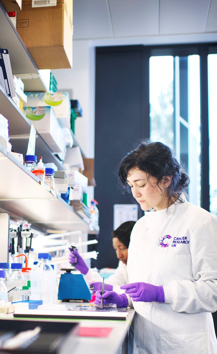 Congratulations to Dr Jessica Taylor on her successful grant funded by the wonderful @LPTrustUK - Jess is excited to start her #braintumourresearch into how everyday drugs such as antihistamines can be repurposed to help our fight against #childhoodbraincancer !
@jesell_ @CCLG_UK