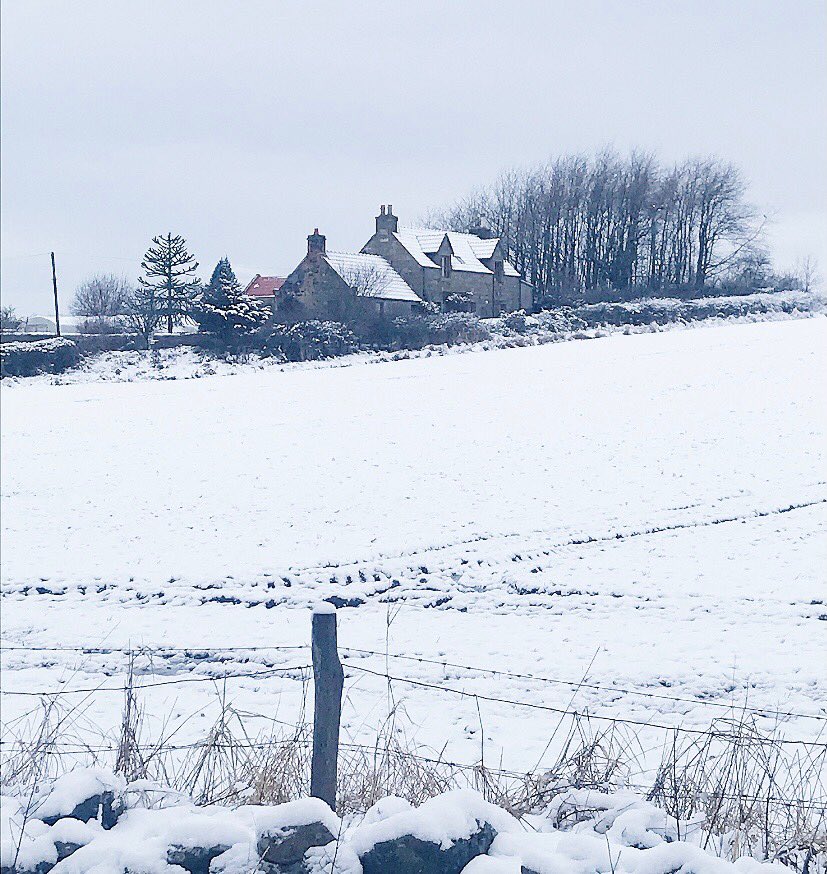 Jen230675's tweet photo. Lovely fresh walk to start the day❄️⛄️🐶🥶 https://t.co/YdfYvxji7D