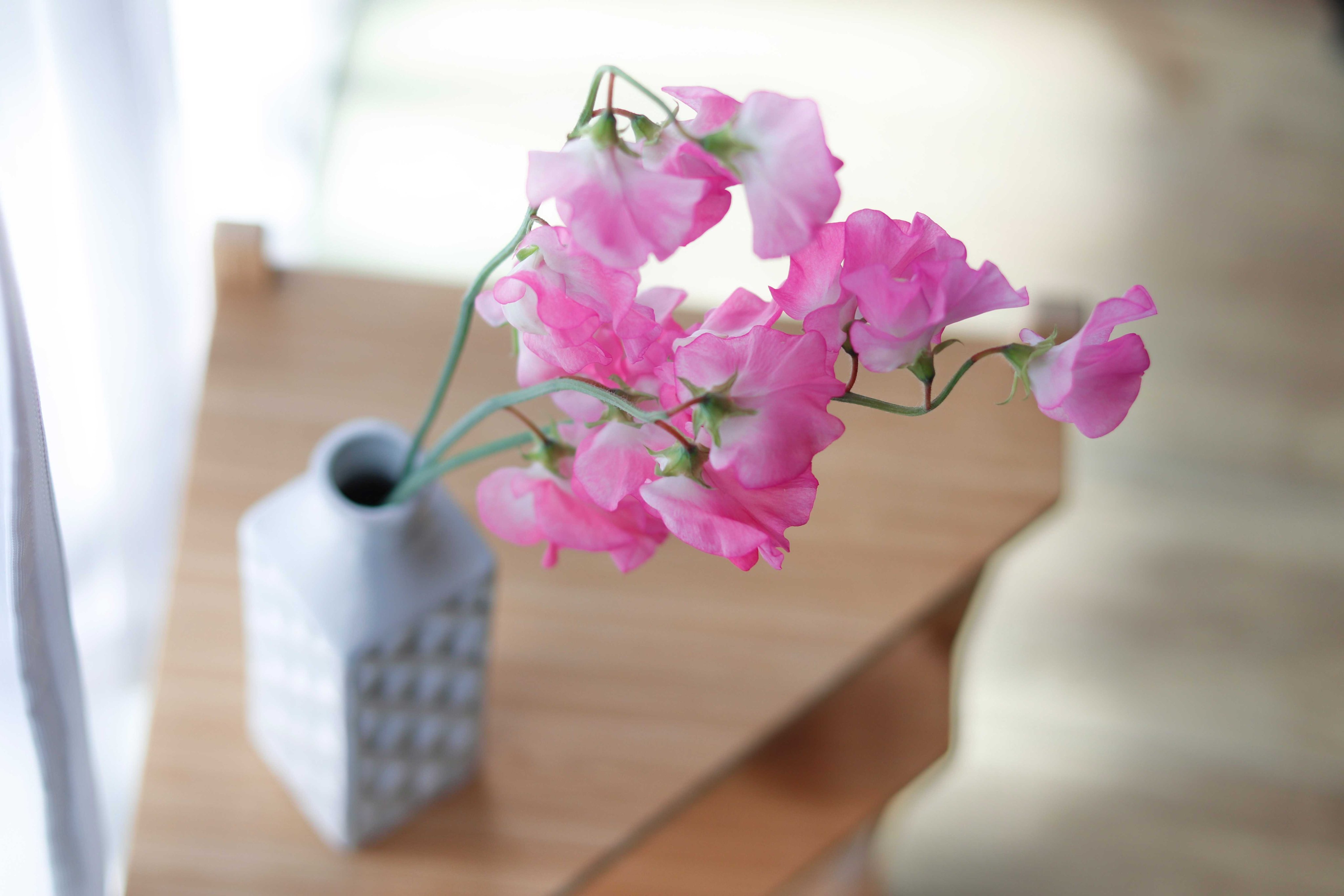 تويتر 花キューピット I879 Com 公式 山下智久さんが届けます 母の日特別お届けキャンペーン على تويتر スイートピーを飾りやすい花瓶はどんな形 丸型や筒形 口が狭かったり開いていたり 色んな花瓶がありますが お花に合わせて花瓶を選ぶと お花の