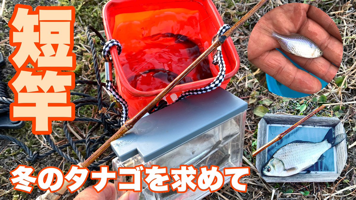 タナゴ釣り初心者 タナゴ釣り初心者
