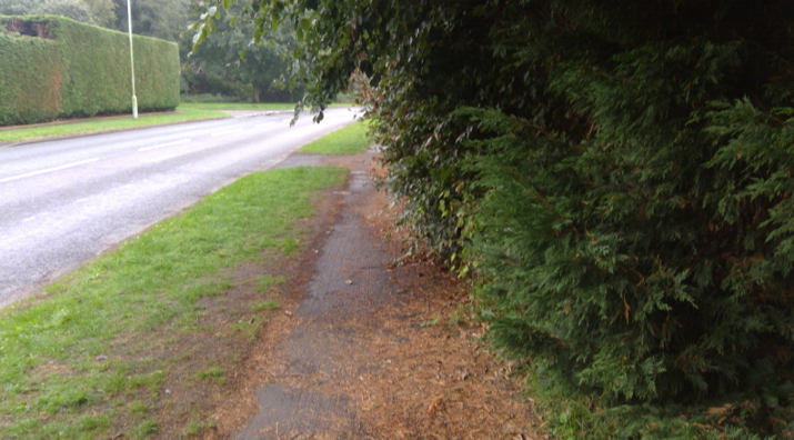 Suff_highways's tweet photo. With spring on the way, birds will soon be nesting. 🐦
The weeks between September and March are the perfect time to ensure that all vegetation on your property is not obstructing the public highway. 
Further details can be found online via https://t.co/zL9TxZiWIq #Suffolk https://t.co/H0M6g9b55V