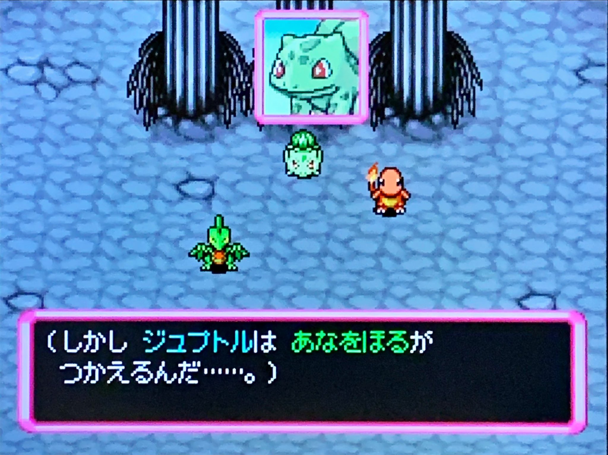 41 ジュプトルたちを元通りに帰す えっなんでこんなことに 追っ手から逃げる ピクミン マリオ ドラクエ Ff ポケモン日記