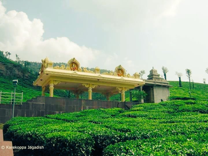 BharathiKumar4's tweet photo. On a misty morning at Samse, Kalasa ಕಳಸೇಶ್ವರ
A serien place with great historical importance, Kalaseshwara on the banks of river Bhadra.
As per Legends Sage Agasthya installed Shiva Linga here, appeared out of his Kalasha  

#Chikmagalur #NammaKarnataka  
 #incrediblekarnataka https://t.co/M6OMShrjE1