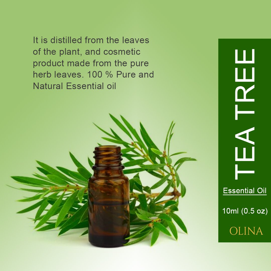 OlinaEssential's tweet photo. #Olina
It is distilled from the leaves of the plant, and cosmetics product made from the pure herb leaves. 100 % Pure and Natural Tea Tree Essential oil.
#teatreeoil #teatreeessentialoil #teatreeforskincare #teatreeforhair #teatreenaturaloil #teatreepureoil #teatreetherapeutic https://t.co/V9Vu6ga3gT