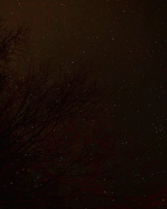 Starry night🌃⭐  #stars #nightstars #night #dark #tree #nature #naturephotography #nature_perfection #naturelover