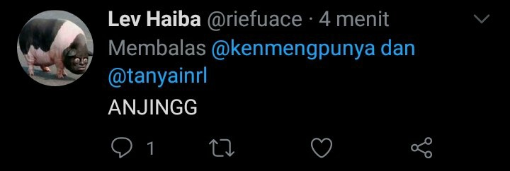 Ingin melihat babi memanggil temannya?