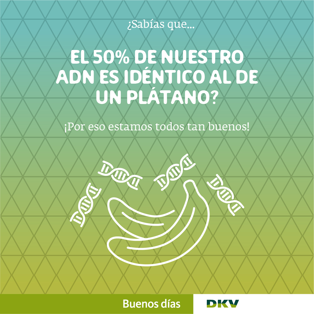 DracGuell's tweet photo. RT @DKVSeguros: Ya decía yo que me veía cierto parecido con Mochilo... 
🍌🎒
#BuenosDíasDKV #ActivistasDeLaSalud #Fruitis https://t.co/PvXDz2xnoa