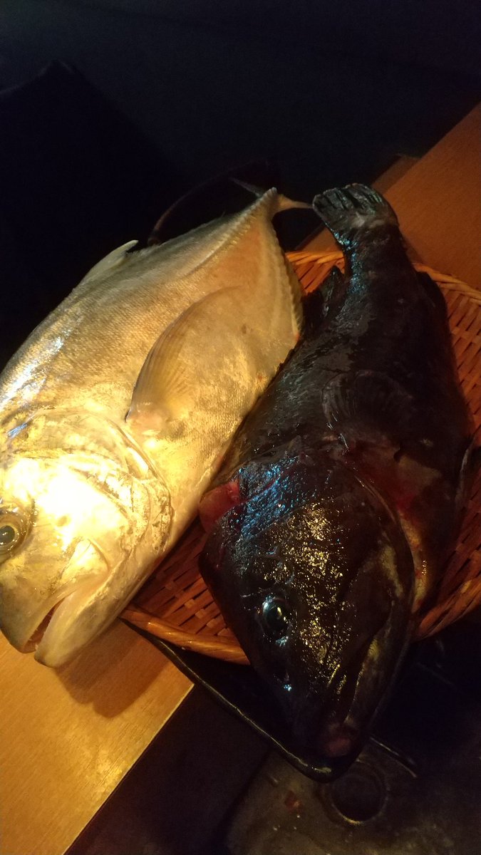 赤坂日本酒 海舟 Kaisyuakasaka Twitter