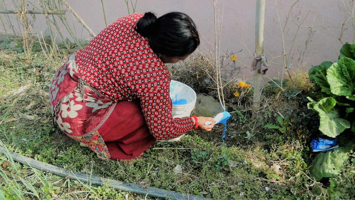 A training was held by our staff Ms. Namrata Shrestha on "Preparation and Applying of Bordeaux mixture and Bordeaux paste" to Halede Organic Committee of Mandandeupur Municipality, Kavre, ward no. 1.  23 farmers 
 participated and benefited from the training.