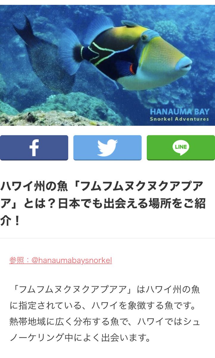 Delphine Auf Twitter ふむふむぬくぬくあぷああ 和名はタスキモンガラ ハワイ語で 豚のように鳴く角張った魚 とのことです しかし独特な名前 フムフムヌクヌクアプアア