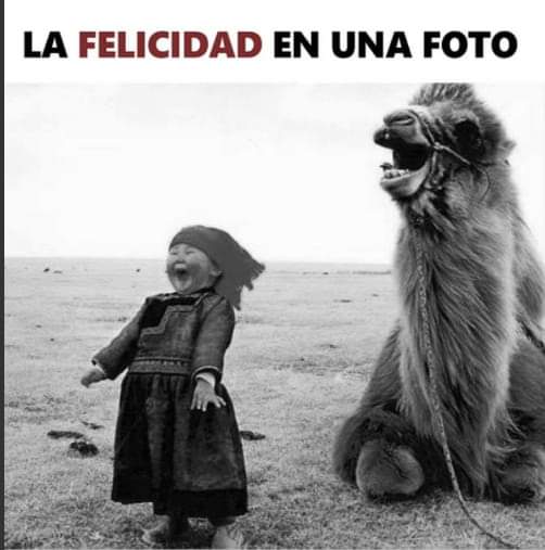 TONIPLANAS1's tweet image. 🥰🥰🥰