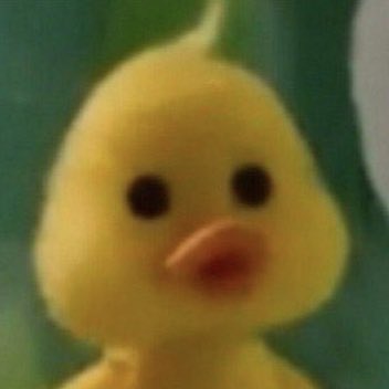 kim sunoo as mofy duck — a cute thread