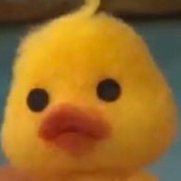 kim sunoo as mofy duck — a cute thread