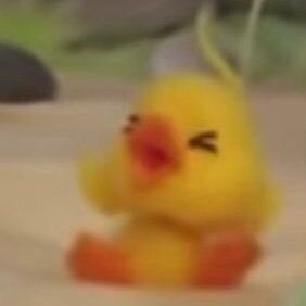 kim sunoo as mofy duck — a cute thread