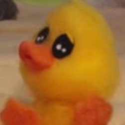 kim sunoo as mofy duck — a cute thread