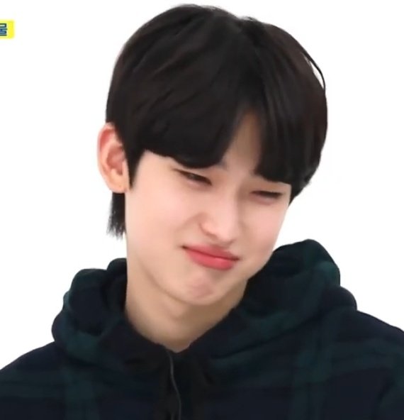 kim sunoo as mofy duck — a cute thread